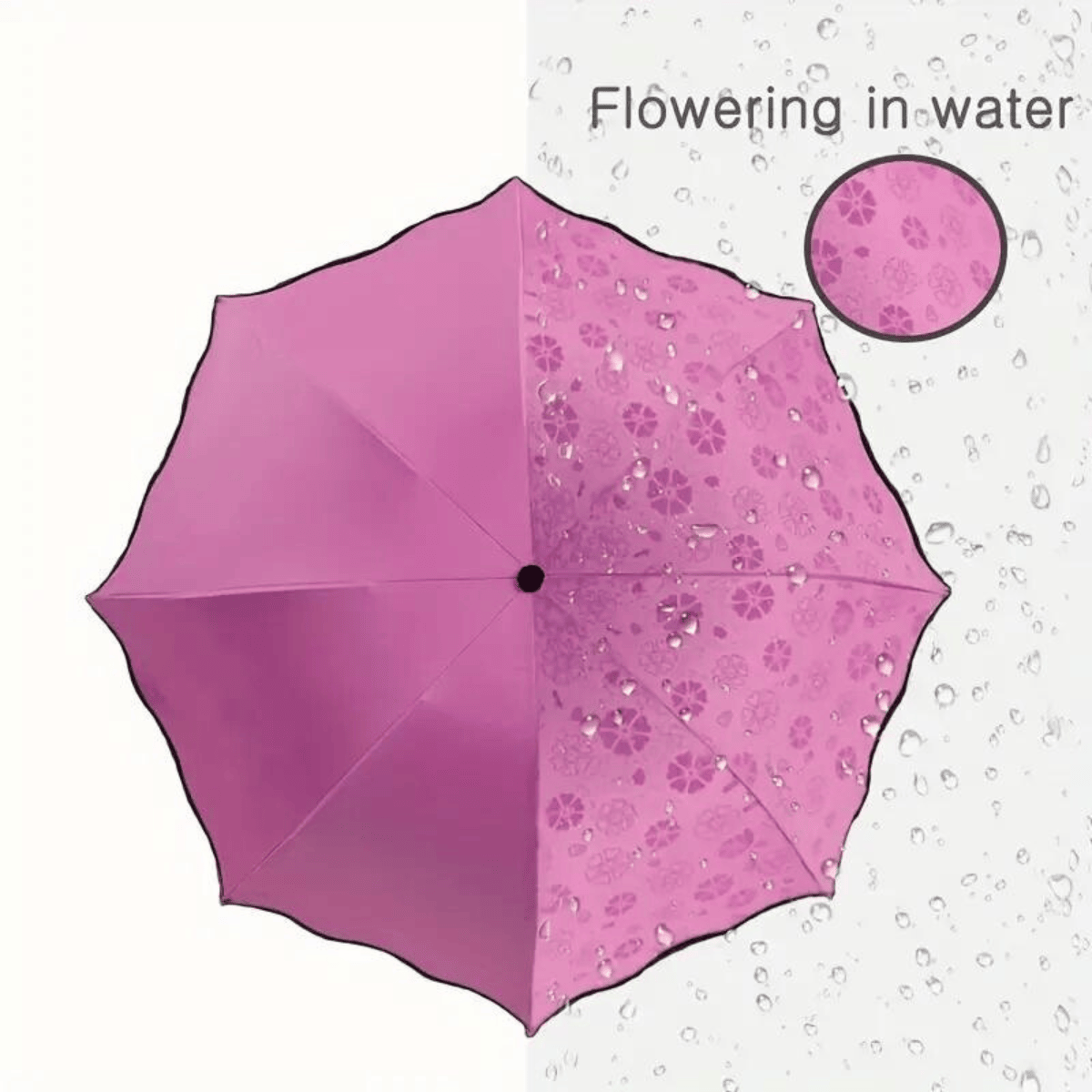 Umbrella-flowering-in-water-no28557-nocothebrand-