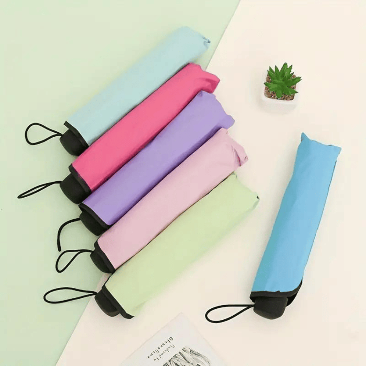 Umbrella-flowering-in-water-no28557-nocothebrand-1