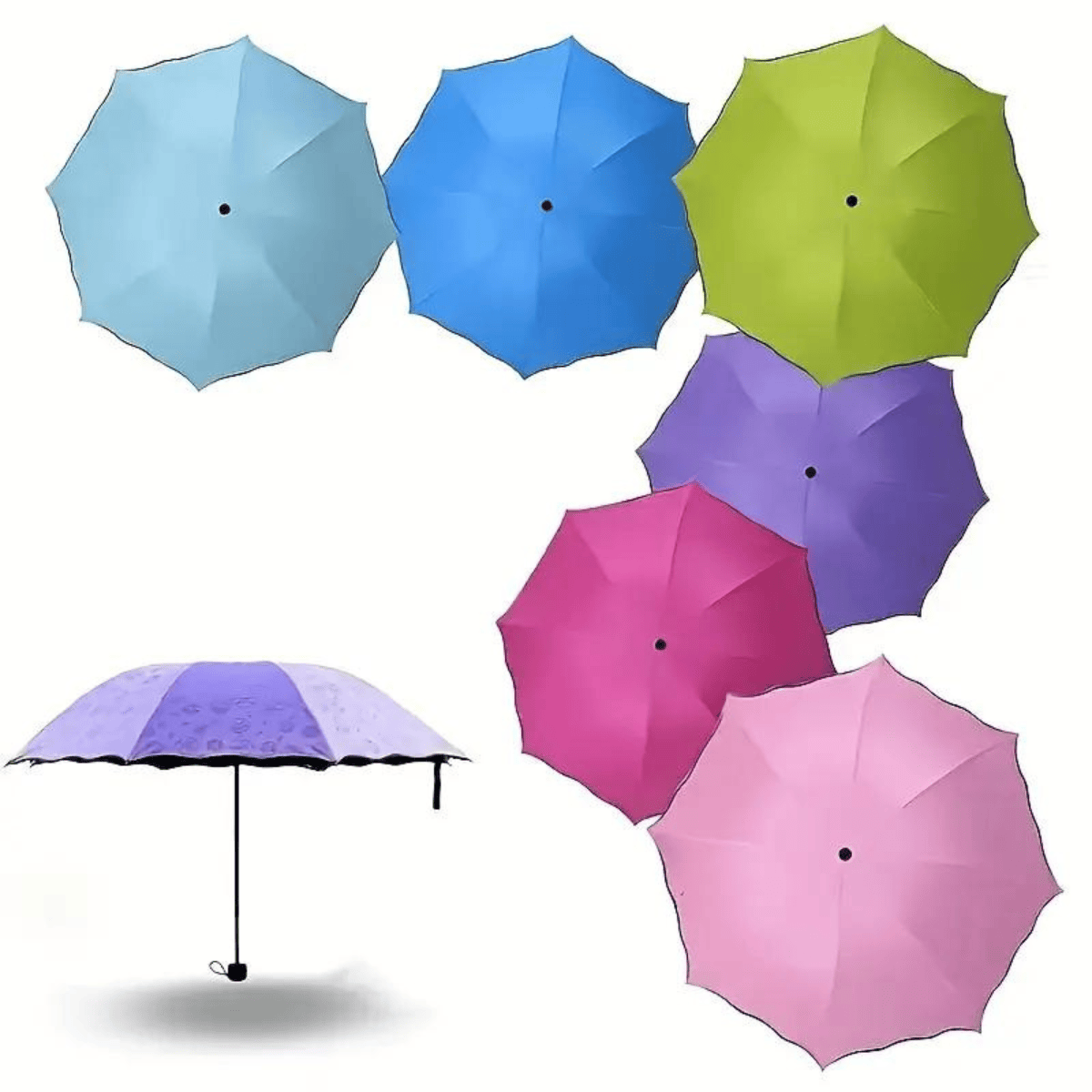 Umbrella-flowering-in-water-no28557-nocothebrand-6